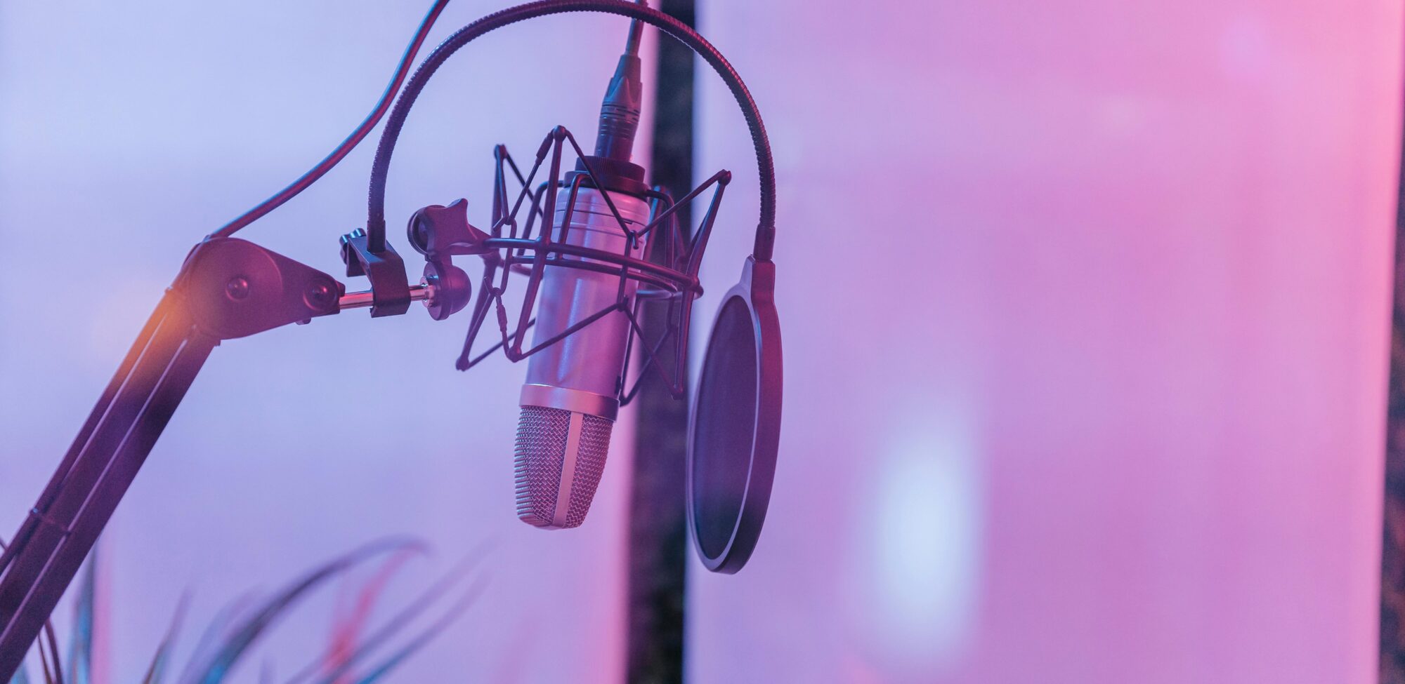 Close-up of a condenser microphone with a pop filter in a vibrant studio setting.